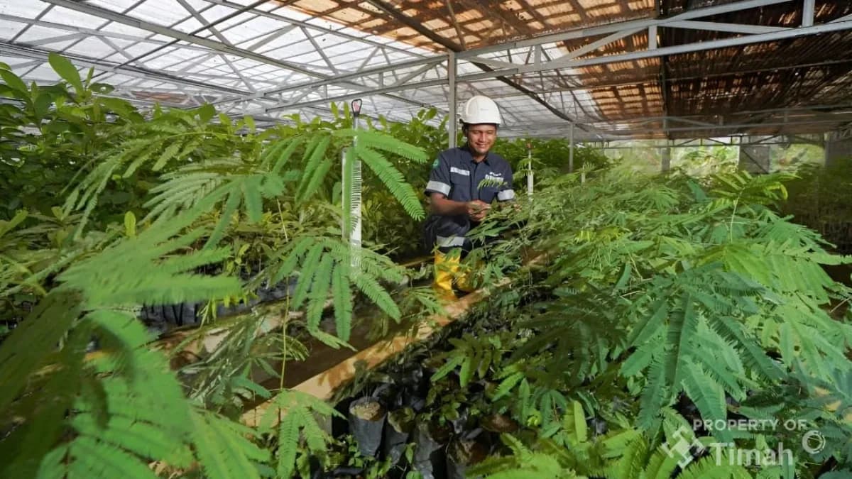 Grup MIND ID Reklamasi 8.000 Hektare Lahan dan Rehabilitasi DAS 37.700 Hektare, Perbaiki Kualitas Keanekaragaman Hayati
